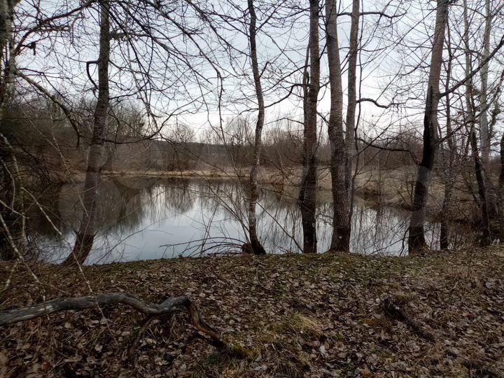 Участок 2,3 га (ИЖС)