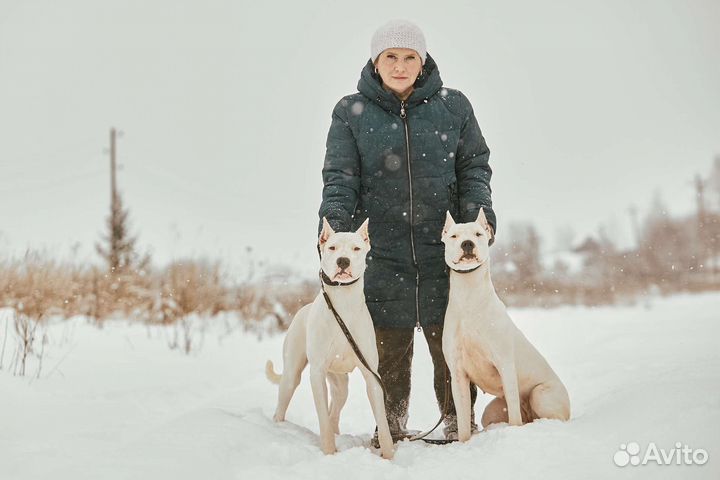 Зоопсихолог, кинолог