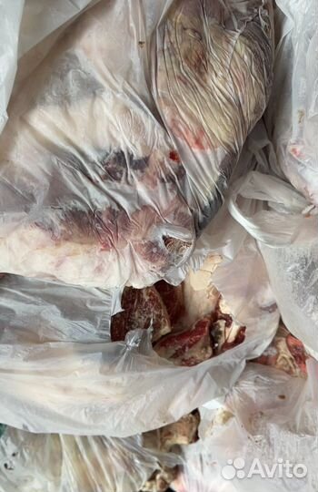 Говядина обрезь