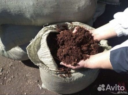 Навоз перегной