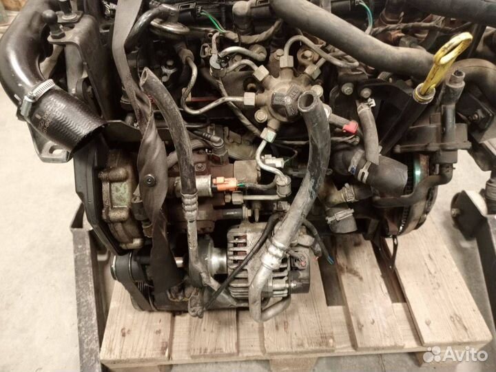 Двигатель kkda 1.8 Форд Фокус 2 С-Макс