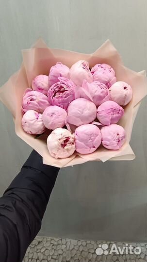 Цветы пионы букет