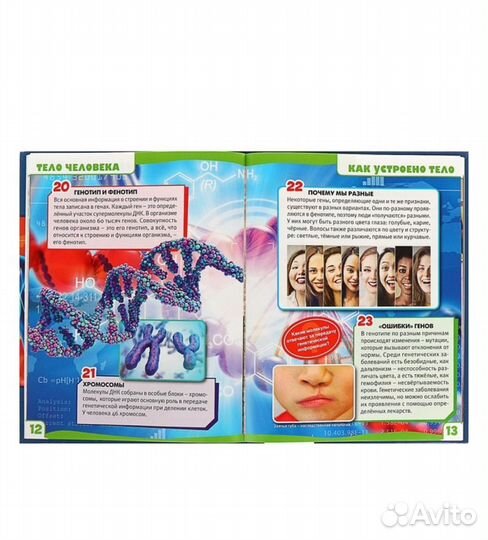 Анатомия тело человека