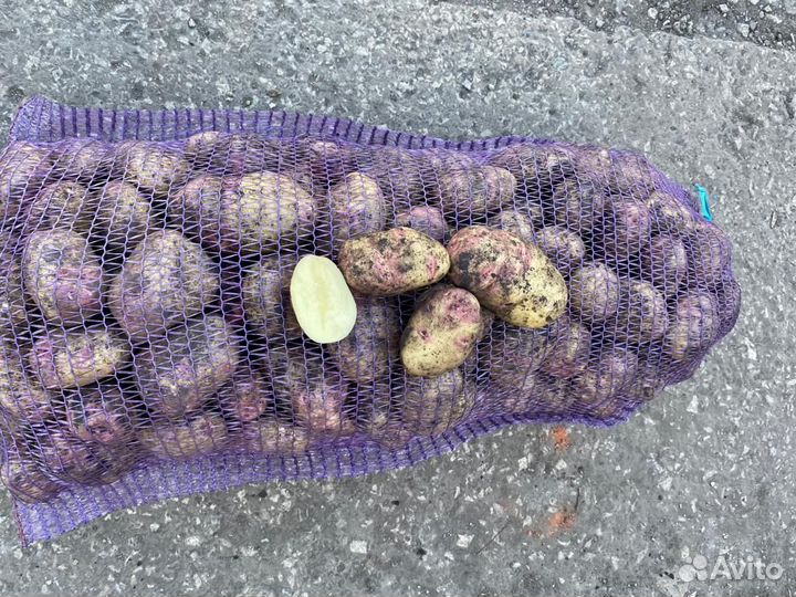 Картофель от производителя