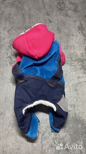 Одежда на маленькую собаку