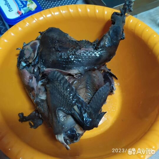Молодки Ухейилюй