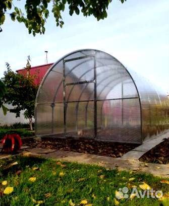 Теплица 3 на 8 м