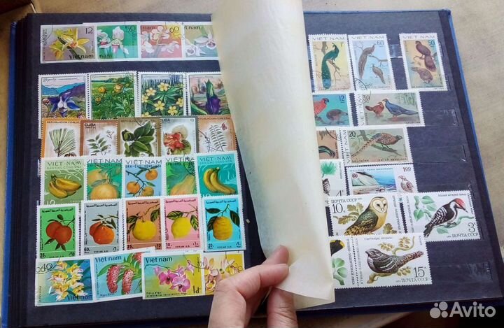 Альбом с коллекцией марки СССР
