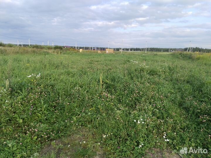 Трава на сено