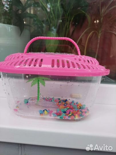 Переноска аквариум террариум