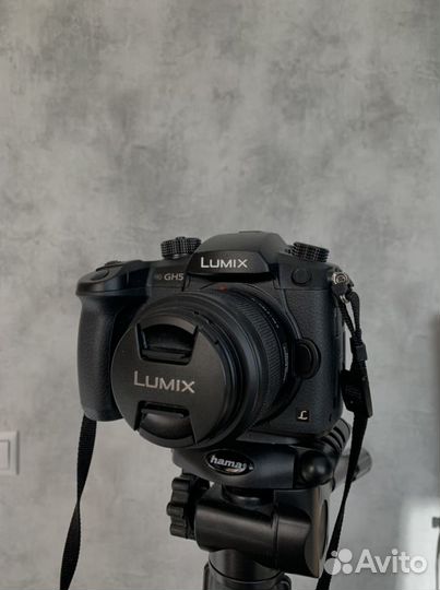 Panasonic lumix gh5 body