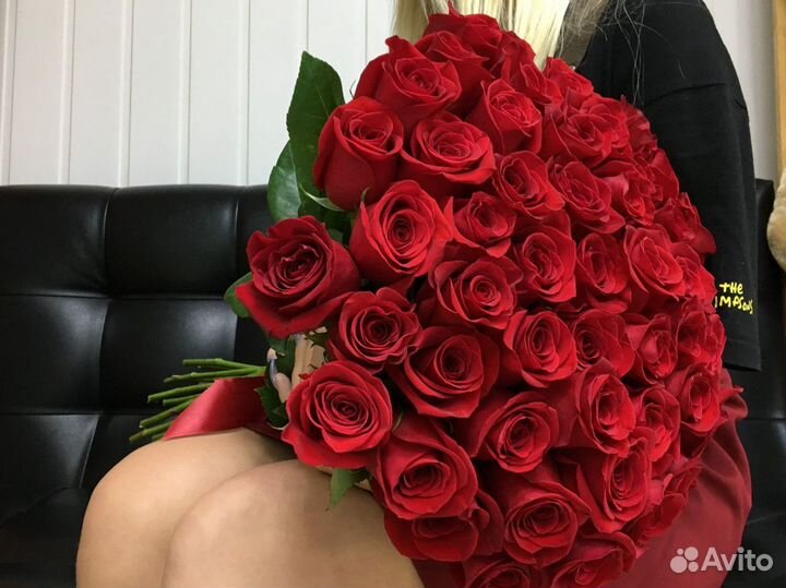 51 красная роза 50 см (Эквадор)