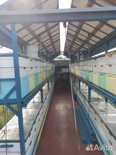 Полуприцеп бортовой МАЗ 9758, 1999