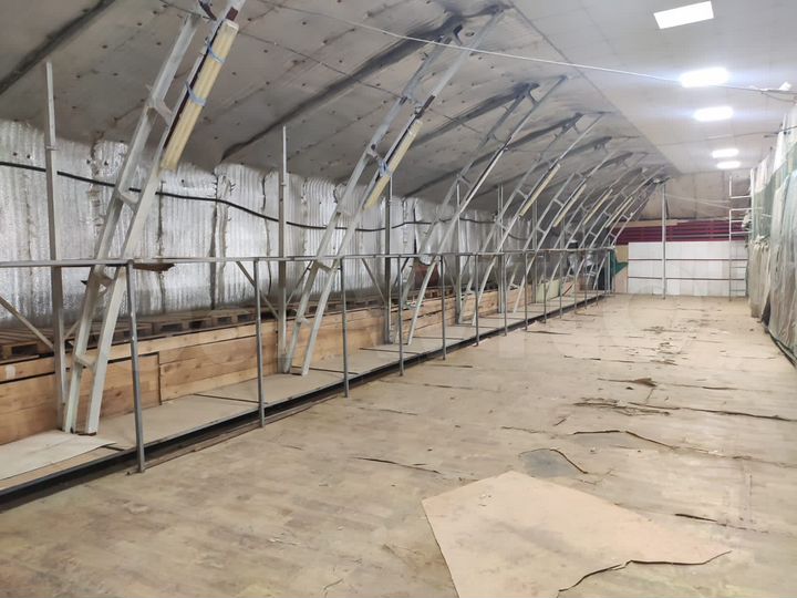 Свободного назначения, 245 м²