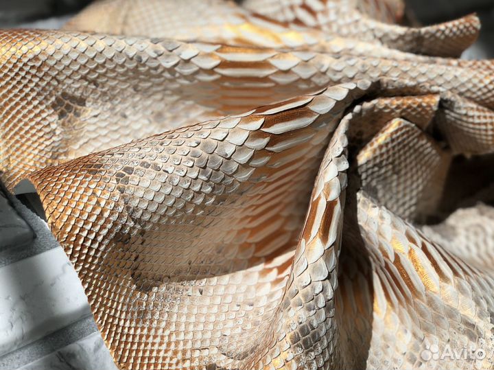 Кожа питона