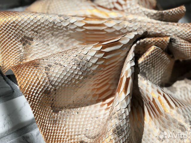 Кожа питона