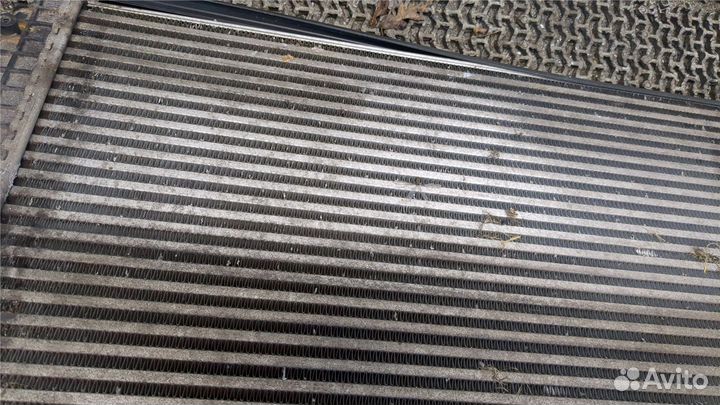 Радиатор интеркулера Volkswagen Jetta 5, 2008