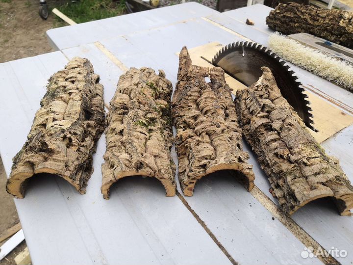 Кора пробкового дуба