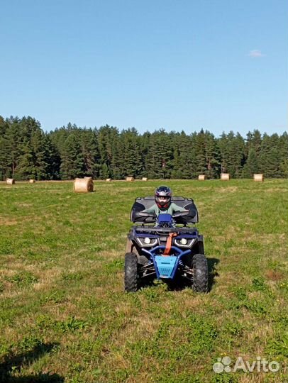 Avantis Hunter 200 New