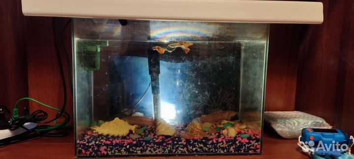 Аквариум
