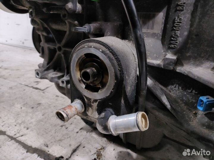 Радиатор масляный Ford Fiesta (08-12) хэтчбек 5