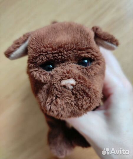 Пушистые питомцы - интерактивные игрушки пакетом