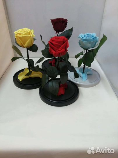 Роза в колбе