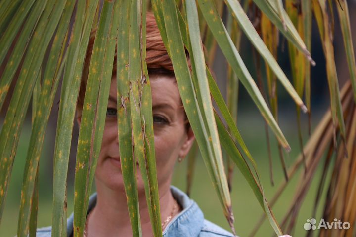 Фотосессии каждый день, фотограф