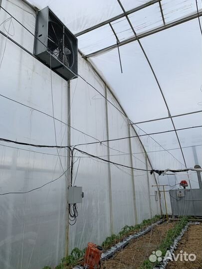 Вентиляторы для птичников, теплиц, ферм, склада