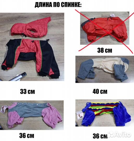 Новая одежда для собак