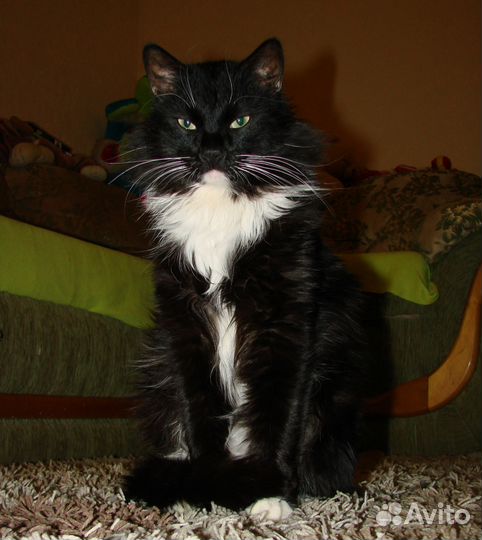 Передержка