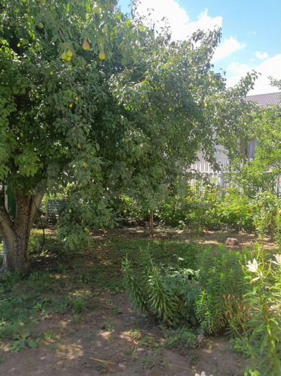 Дача 41,3 м² на участке 4,1 сот.