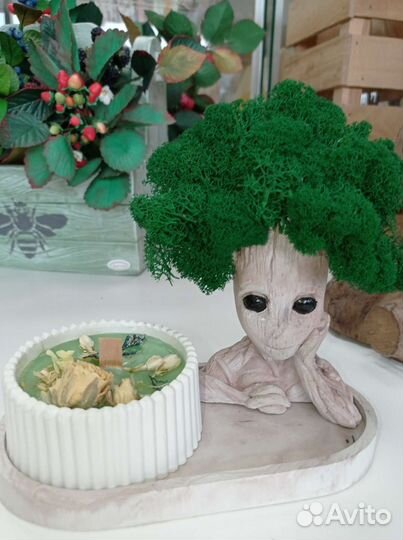 Гипсовый Грут с ягелем