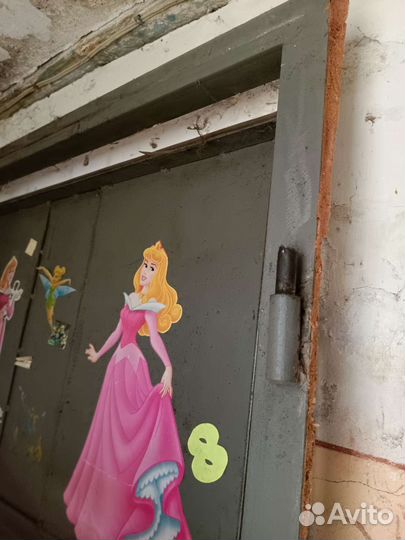 Железная входная дверь