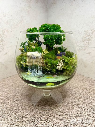 Флорариум Моссариум Подарок