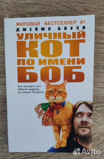 Уличный кот по имени боб