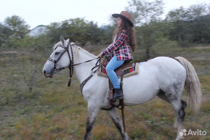 Прогулка на лошадях