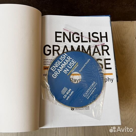English grammar in use Murphy 5th edition