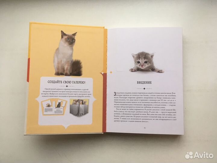 Дженнифер Пуллинг: Кошки