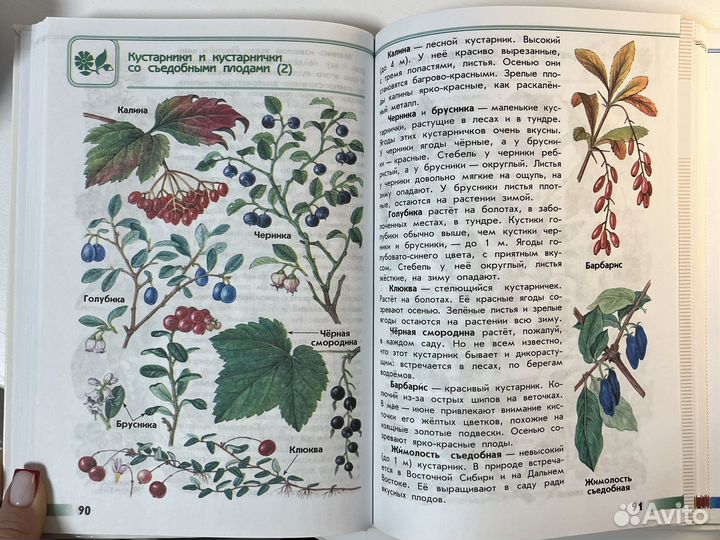 Атлас-определитель 