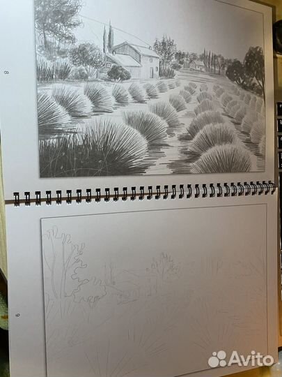 Карандаши цветные масляные Wimi