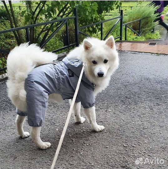 Дождевик для собак, размер xl