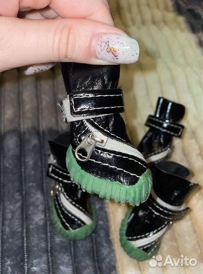 Обувь для собак