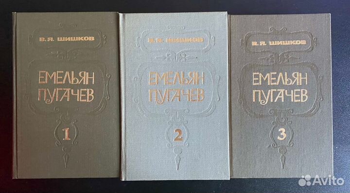 Книги В.Я.Шишков 
