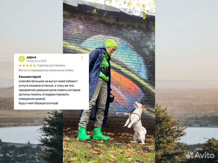 Выгул собак