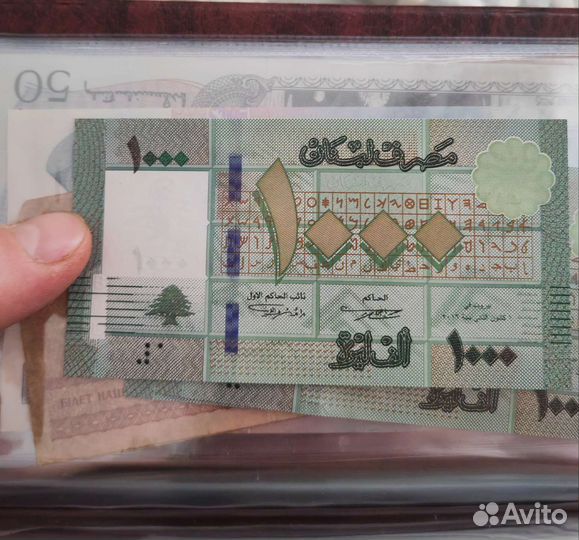 Купюры коллекционирование