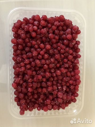 Красная смородина