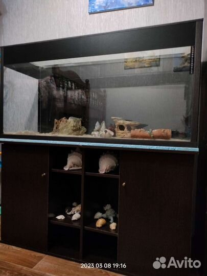 Аквариум