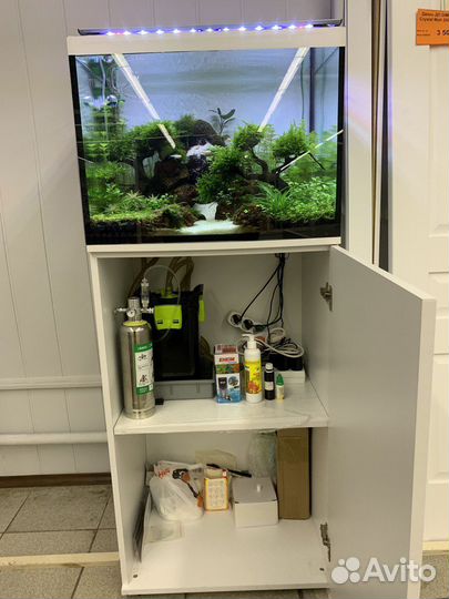 Аквариум