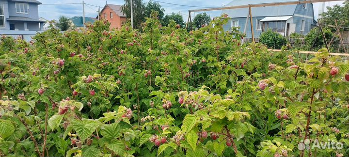 Варенье. Компоты. Доставка